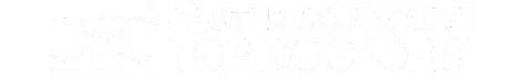 Castle Connolly Top Doctors